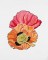 BFC1549 Poppies Times Two