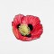 BFC1549 Poppies Times Two