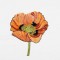 BFC1549 Poppies Times Two