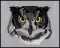 BFC1564 Four Black and White Owl Portraits