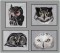 BFC1564 Four Black and White Owl Portraits