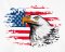 BFC1566 US Patriotic-01