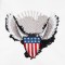 BFC1566 US Patriotic Designs