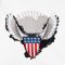 BFC1566 US Patriotic-05