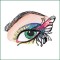 BFC1571 Exotic Eyes