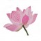 BFC1578 Lotus