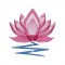 BFC1578 Lotus