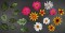 BFC1579 FSL Lace Bowl & Doily with Flowers
