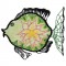 BFC1581 Applique or Not Fishy Friends