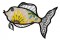 BFC1581 Applique or Not Fishy Friends