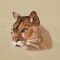 BFC1584 Native American Woman with Cougar