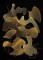 Etched Stones - 02