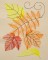 Summer Leaves - 04