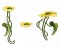 BFC1590 Art Nouveau Floral Motifs