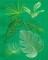 Jungle Leaves - 2