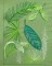 Jungle Leaves - 6