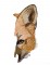BFC1595 Large Red Fox