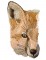 BFC1595 Large Red Fox