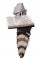 BFC1600 Large Baby Raccoon