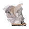 BFC1600 Large Baby Raccoon