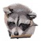 BFC1600 Large Baby Raccoon