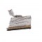 BFC1600 Large Baby Raccoon