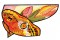 BFC1601 Stained Glass Eye Spot Butterflies