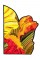 BFC1601 Stained Glass Eye Spot Butterflies