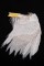 BFC1602 Large Eagle Portrait