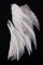 BFC1602 Large Eagle Portrait