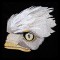 BFC1602 Large Eagle Portrait