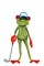 BFC1606 It's a Frog's Life