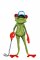 BFC1606 It's a Frog's Life 04