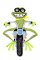 BFC1606 It's a Frog's Life 10