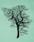 BFC1614 Flora - Bare Trees in Winter