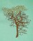 BFC1614 Flora - Bare Trees in Winter