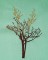 BFC1614 Flora - Bare Trees in Winter