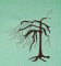 BFC1614 Flora - Bare Trees in Winter