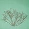 BFC1614 Flora - Bare Trees in Winter