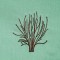 BFC1614 Flora - Bare Trees in Winter