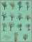 BFC1614 Flora - Bare Trees in Winter