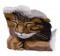 BFC1617 Large Christmas Kitten