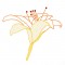 BFC1619 Embellished Floral Outlines