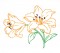 BFC1619 Embellished Floral Outlines