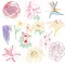 BFC1619 Embellished Floral Outlines