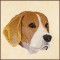 BFC1621 Three Dog Portraits