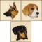 BFC1621 Three Dog Portraits