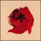 BFC1623 Large Poinsettia