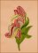 BFC1624 Elegant Jacobean Florals-04