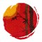 BFC1625 The Rising Sun- Fun Set